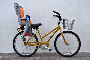 Bike, Yolo, and Kayak Rental Service
