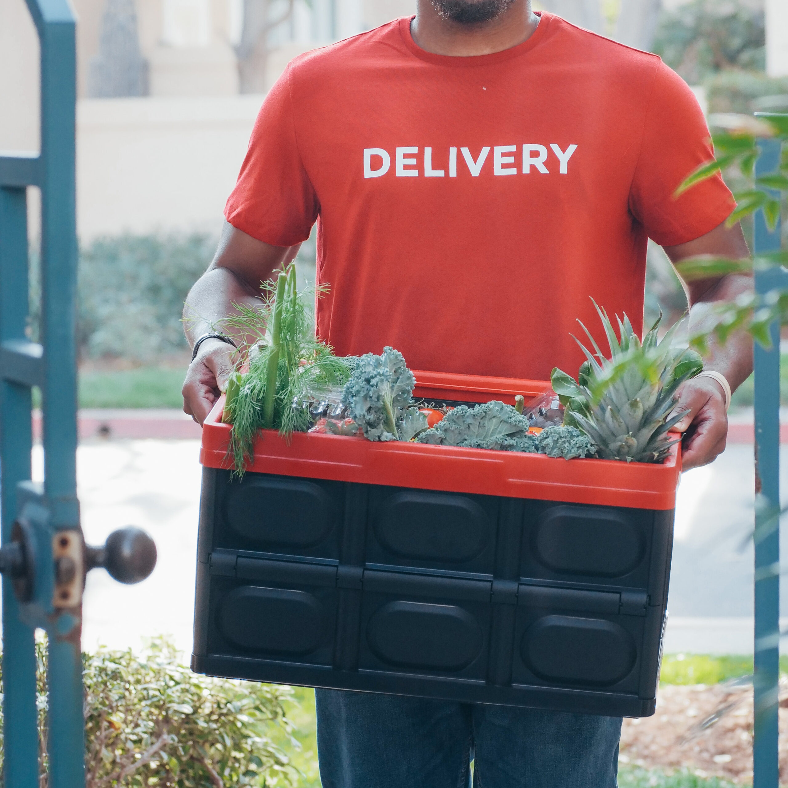 Grocery Delivery Service